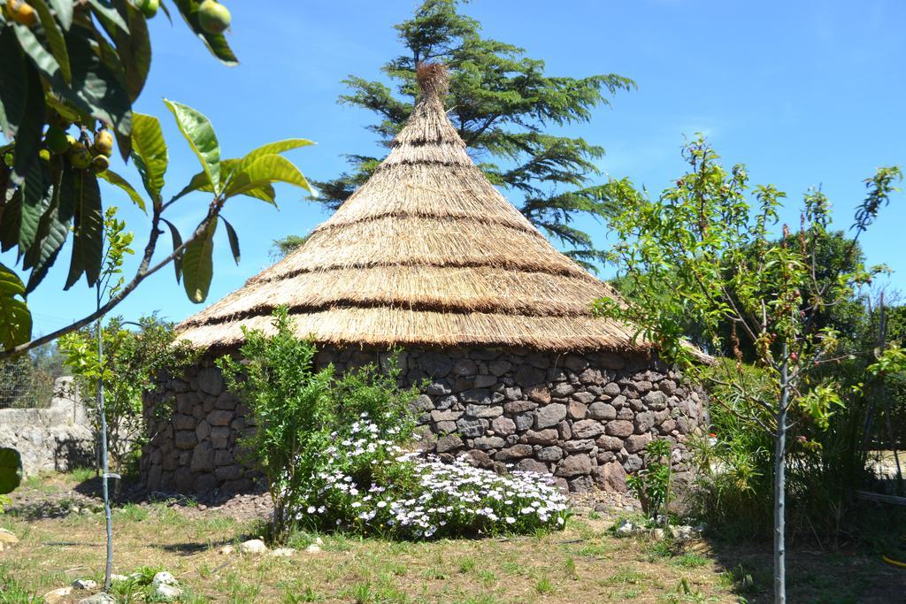 B&B Antica Botte Сасари Екстериор снимка
